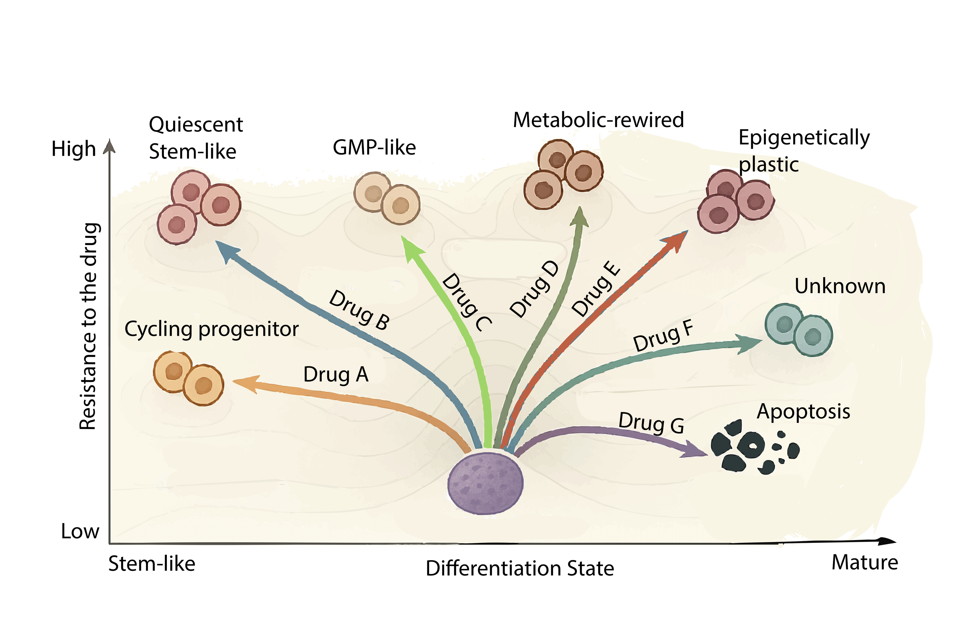 Cell Landscape Visualization
